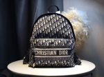 Christian Dior Bags Bags -    768 Online Sale