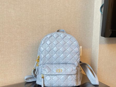 Christian Dior Bags Bags -    717 Supply