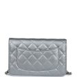 Chanel Wallet On Chain WOC Silver Metallic Lambskin Silver Hardware on Sale