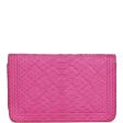 Chanel Boy Wallet On Chain WOC Hot Pink Python Brushed Silver Hardware Cheap