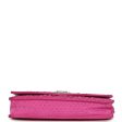 Chanel Boy Wallet On Chain WOC Hot Pink Python Brushed Silver Hardware Cheap