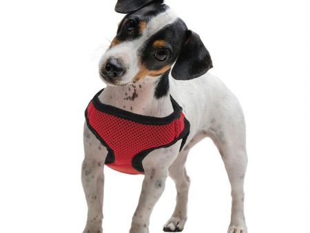 Extra Small Red Soft n Safe Dog Harness Online