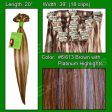 #6-613 Chestnut Brown w- Platinum Highlights - 20 inch Remi Discount