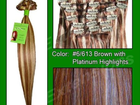 #6-613 Chestnut Brown w- Platinum Highlights - 20 inch Remi Discount