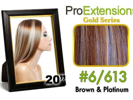 #6-613 Chestnut Brown w-Platinum Highlights Pro Cute Supply