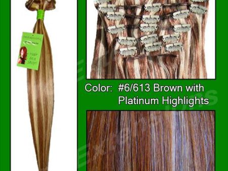 #6-613 Chestnut Brown w- Platinum Highlights - 24 inch REMI Discount