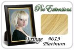 #613 Platinum Pro  Fringe Clip In Bangs Supply