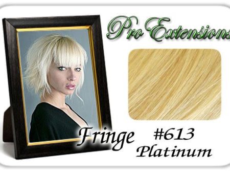 #613 Platinum Pro  Fringe Clip In Bangs Supply